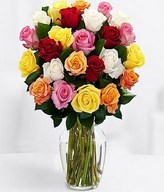 Two Dozen Long Stemmed Rainbow Roses
