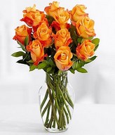 One Dozen Long Stemmed Orange Roses