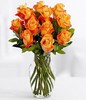 One Dozen Long Stemmed Orange Roses