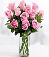 One Dozen Long Stemmed Pink Roses