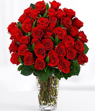 Three Dozen Long Stemmed Red Roses