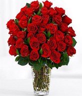 Three Dozen Long Stemmed Red Roses
