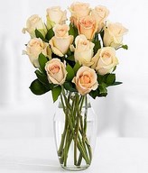 One Dozen Long Stemmed Peach Roses