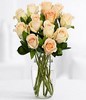 One Dozen Long Stemmed Peach Roses
