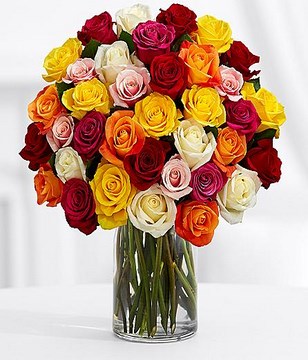 Three Dozen Rainbow Roses