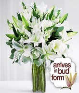 Premium Sympathy Bouquet