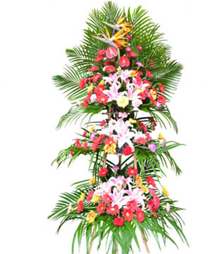 GongxiFaCai-3-Tier Openning Basket- Lily , Daise, bird of paradise , anthurium, carnation , green leafy