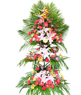 GongxiFaCai-3-Tier Openning Basket- Lily , Daise, bird of paradise , anthurium, carnation , green leafy