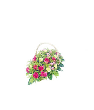 18 Peach Carnations,13 Yellow carnations,15 Mixed Carnation,Basket