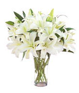 6 White Lilies,Green Leaves,Vase included