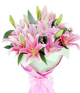 9 Pink Lilies