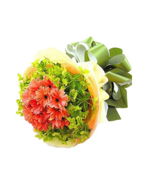 11 Orange Daisies,Green leaves outside