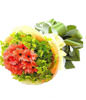 11 Orange Daisies,Green leaves outside