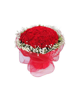 99 red carnations, baby breath of the sides