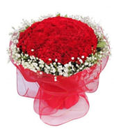 99 red carnations, baby breath of the sides