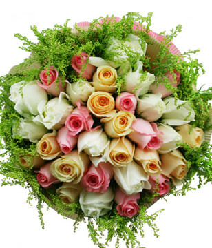 11 pink roses, 11white roses, 11 champagne roses 