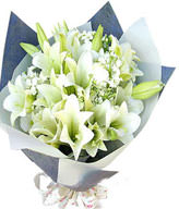 10 Lilium longiflorum ,The white green leaves dotted