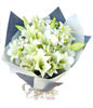 10 Lilium longiflorum ,The white green leaves dotted