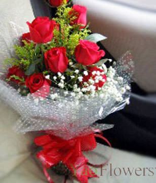 11 red roses, the oriole, the serissa fetida is plentiful