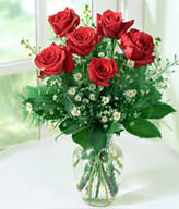 6 Red roses,Vase included