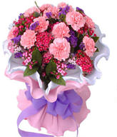 Pink carnation 16, pink plum, forget me not
