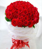 33 Red Roses,Green Leaves