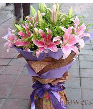 6 Pink Perfume Lily, with Oriole