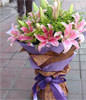 6 Pink Perfume Lily, with Oriole