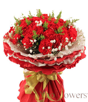 Red carnation 33, green leaf, Forgot-Me-Not 