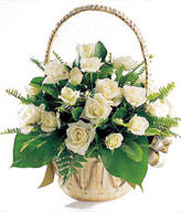 22 white roses, green leaf, oriole