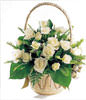 22 white roses, green leaf, oriole