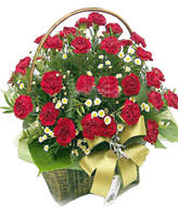 Red carnation 36, the serissa fetida is plentiful, the green leaf is plentiful,Basket included