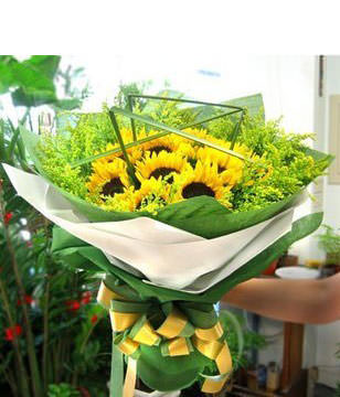 11 SunFlowers, Let the sun shine today