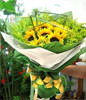 11 SunFlowers, Let the sun shine today