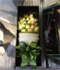 19 champagne roses gift