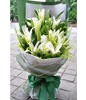 6 lilies