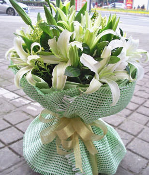 8 lilies