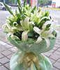 8 lilies