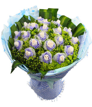 21white roses,baby's breath