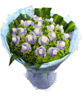 21white roses,baby's breath
