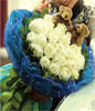 33 white roses with 2 teddy bears