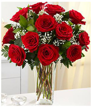One Dozen Long Stemmed Red Roses 