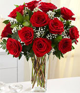 One Dozen Long Stemmed Red Roses 