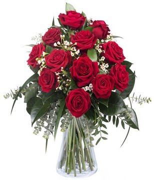 12 red roses