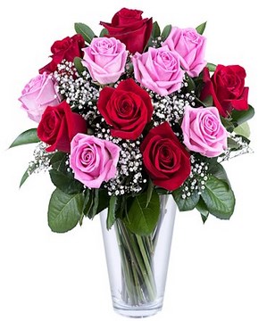 12 red and pink roses,complemented by greenery and gypsophila