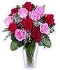 12 red and pink roses,complemented by greenery and gypsophila