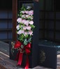 25 Pink Carnations in a Box