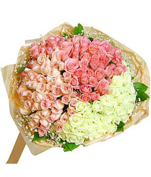 Mixed 99 Roses To China,RM13022801