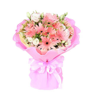 18pink flameray gerbera mix with Platycodom grandiflorum