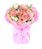 18pink flameray gerbera mix with Platycodom grandiflorum